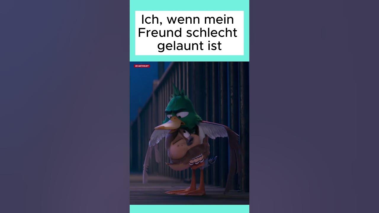 Du musst geknuddelt werden! Filmmemes 11 Raus aus dem Teich YouTube