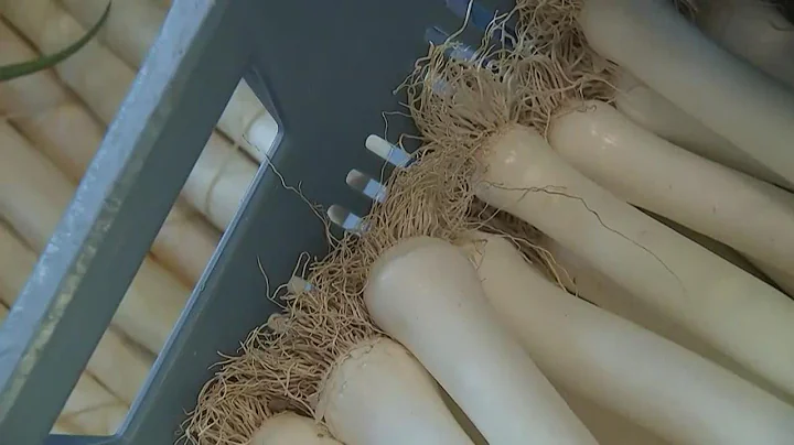 Good Shepherd Food Bank president says that pandemic pushed Maine back in fight with food insecurity