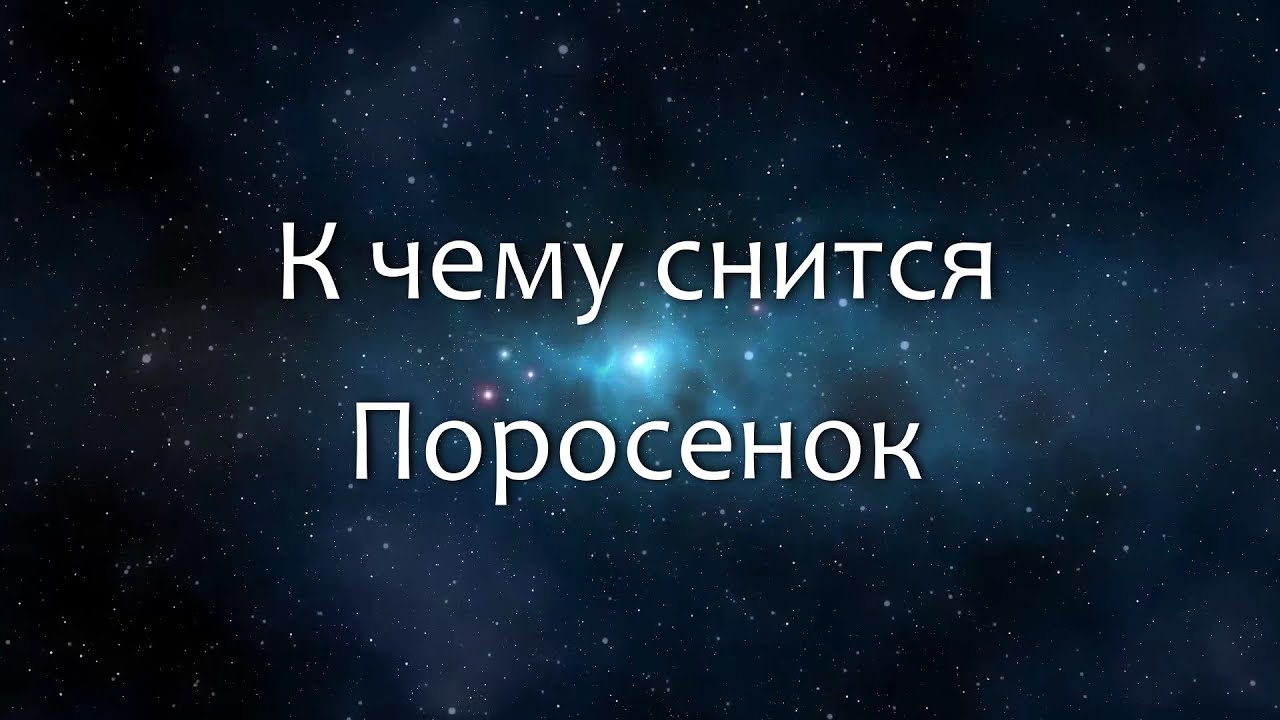 К чему снится Поросенок (Сонник, Толкование снов)