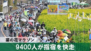 菜の花マラソン