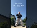 This is Tutorial😤Tyla"CHANEL"Mirrored Dance tutorial🔥　#shorts