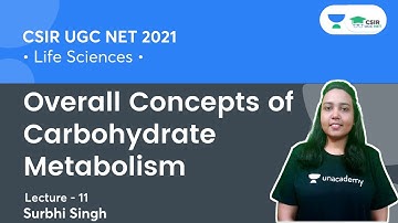 Overall Concepts of Carbohydrate Metabolism || CSIR NET 2021 | By Surbhi Singh