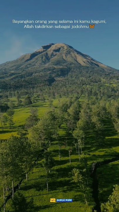 kata kata cinta terucap indah#feedshorts #shoerts #katakatabijak #katakatahijrah #katakatamotivasi