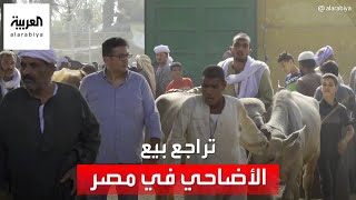 لماذا تراجع بيع الأضاحي في مصر هذا العام؟