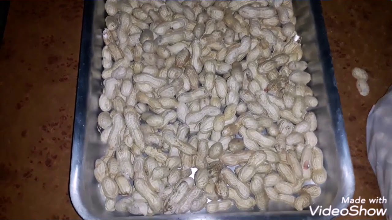 تحميص السوداني بطريقه فرن البوتجاز زي المحمصه واحلي كمان