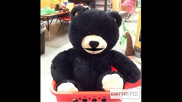 ChatterPix Video copy 3