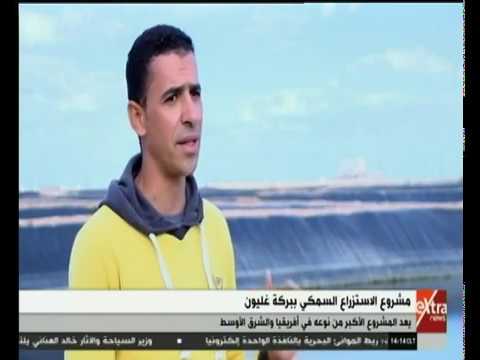 مصر بتبني شاهد كيف يتم إنتاج الجمبري ببركة غليون بطريقة احترافية