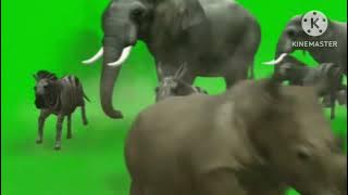 Jumanji Stampede Green Screen Effects - So Amazing Of Course!