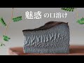 2.5万人が保存した ゴマバスクチーズケーキ