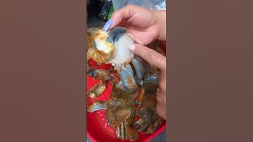 Zachtschalige krabben bereiden 🦀 Zachtschalige blauwe krabben bereiden