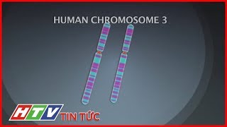 Phát Hiện Gen Đột Biến Mới Kháng Hiv Htv Tin Tức