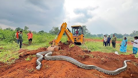 JCB 3dx Backhoe Loading Mud in Mahindra 475 Di tractor JCB miti Khudai #jcb #jcbvideo