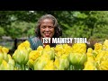 Tsy maintsy toriana - MIALY RAKOTOMAMONJY