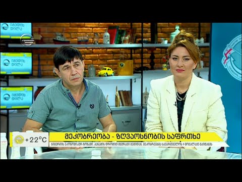 მეკობრეობა - ზღვაოსნობის საფრთხე და ნიგერიაში გატაცებული ქართველი მეზღვაური