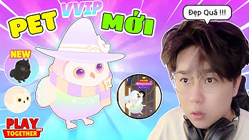 Play Together | Mình Đã Bốc Thăm Ra Pet Cú Mèo Thiên Thần Và Ghép Mặc Đồ Siêu VIP