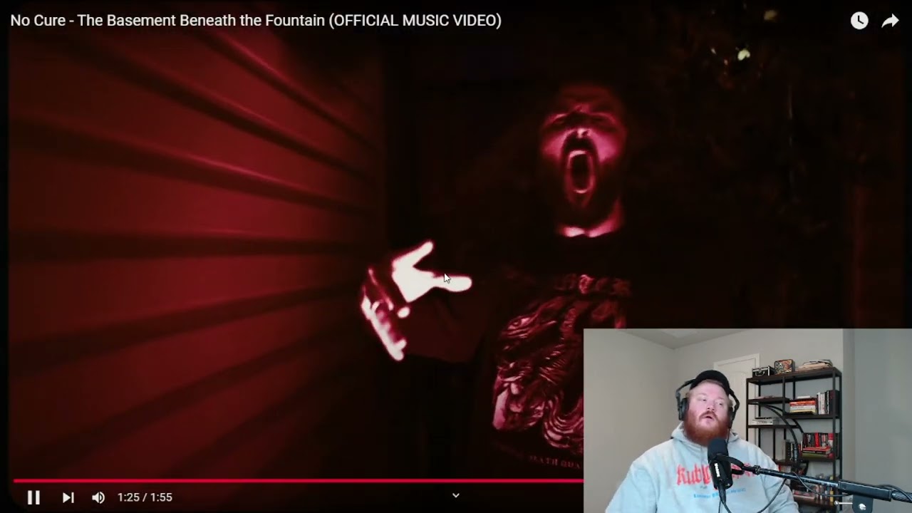REACTION / REVIEW no cure - the basement beneath the fountain