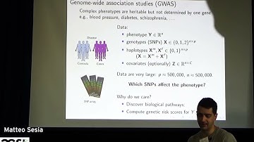 Matteo Sesia | Model-X statistical inference for GWAS data | CGSI 2025