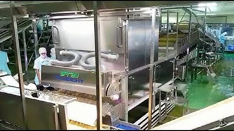Spray optical sorting machine for sweet corn kernels | RAYTEC VISION SpA
