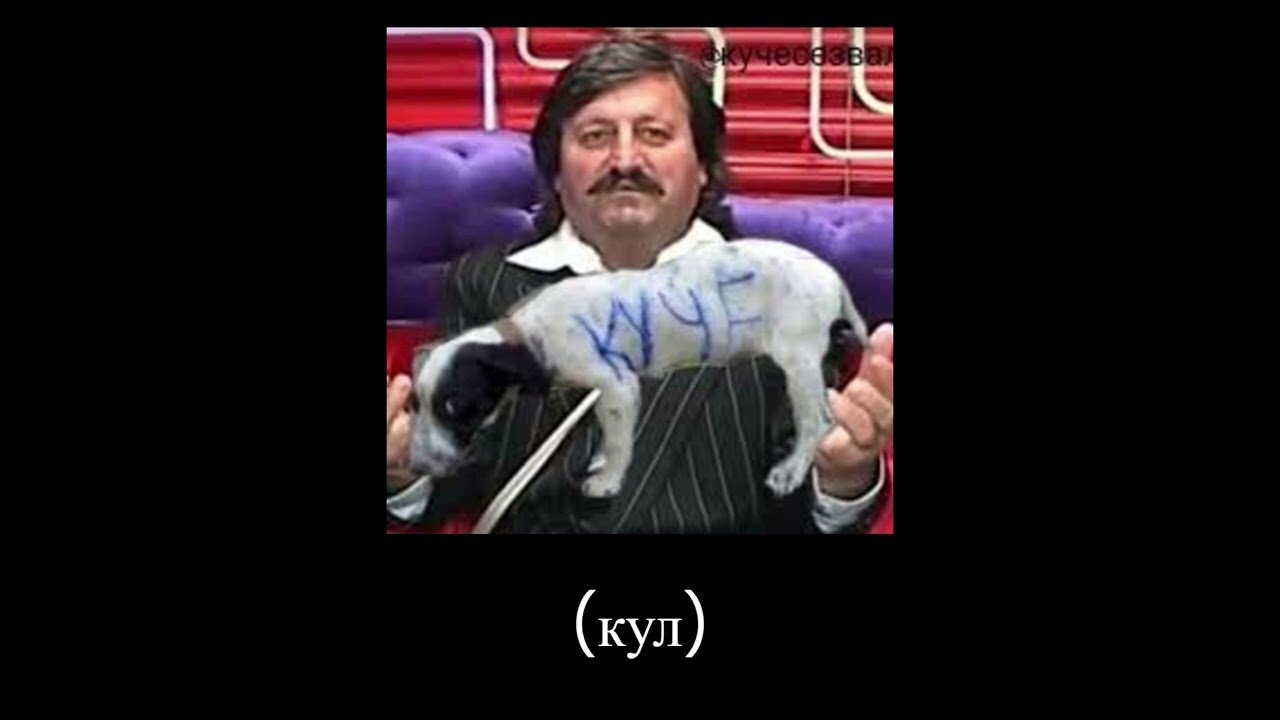 pnjopnji - фараон куче