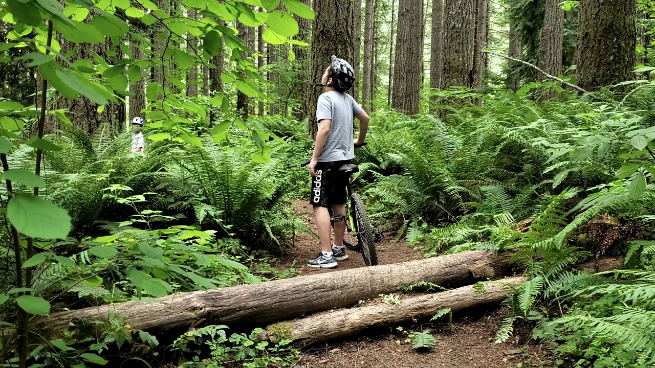 Mountain biking at Stub Stewart State Park 0627 2020 YouTube