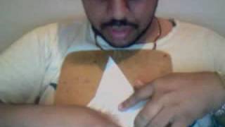 Origami Swan