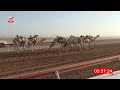 الشوط 4 عجيب لـ ناصر محمد حريك المنهالي 9 35 50 شارة الديوان 2025 11 15 ثنايا الوقن 