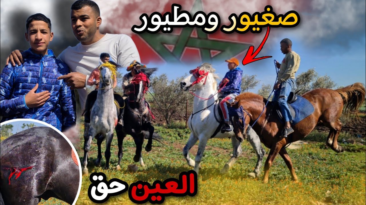 بعد غياب جمال جا وجاب الهمزة ليوم فلوك خيالي الراحة النفسية ولكن تجرح ليا أعز عود عندي 😔