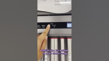 Sudoku Seinen Gen2 Piano how to play demo songs?