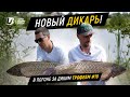 Трофейная рыбалка. И снова новый водоем!!! В погоне за диким трофеем #19.