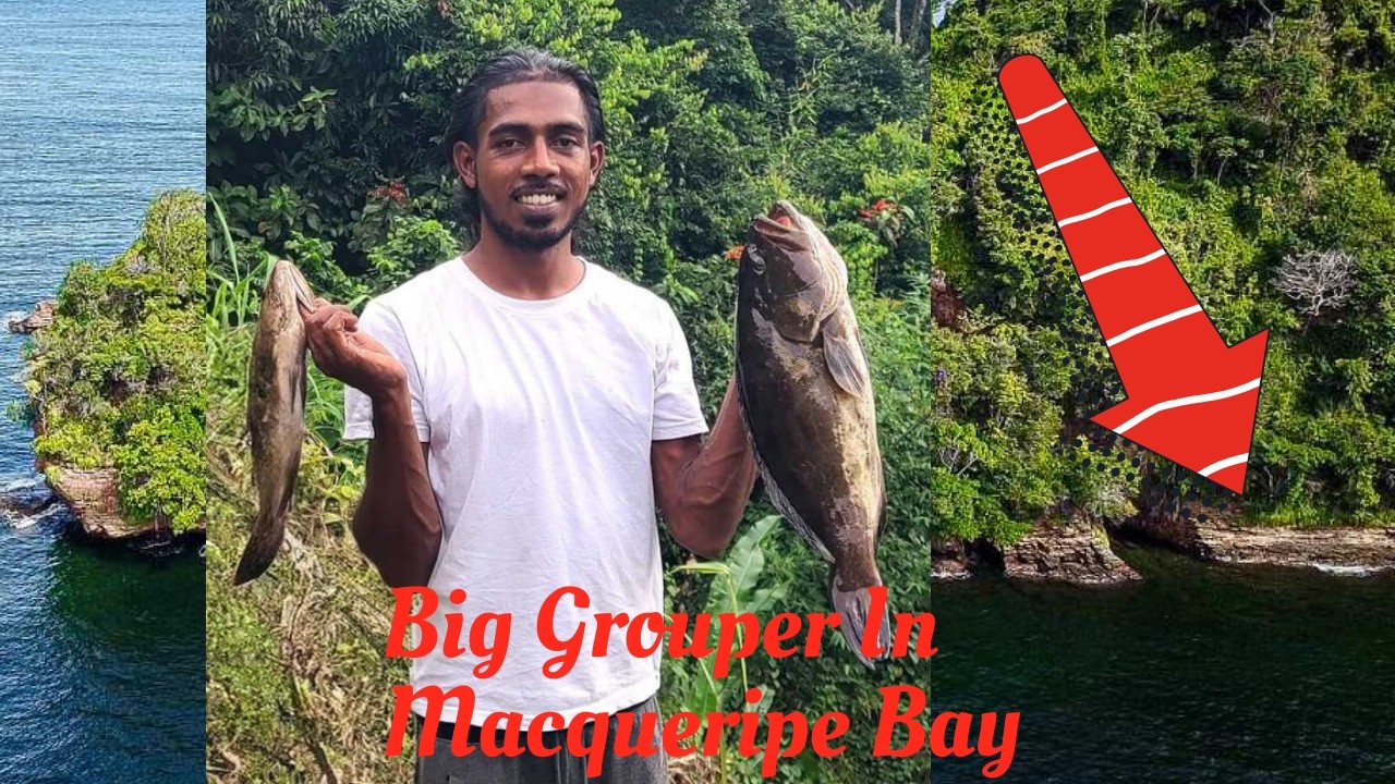 You Wont Believe What I Caught Doing The Bait Challenge For My Birthday