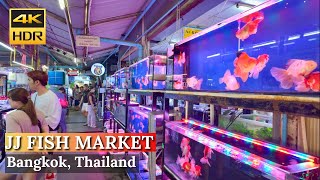 [BANGKOK] Chatuchak Fish Market 'Walk Around The Largest Fish Market In Bangkok'| Thailand [4K HDR]