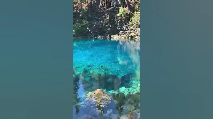 My top 10 favorite places to visit in Oregon ❤️🌲