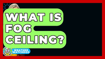 What Is Fog Ceiling? - Weather Watchdog