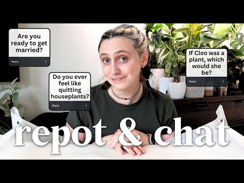 Repot & Chat
