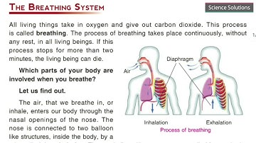 DAV class 5 Science chapter 1 - My Body