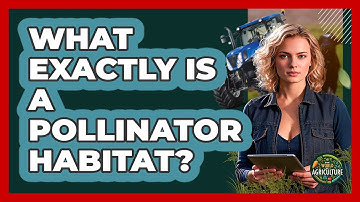 What Exactly Is A Pollinator Habitat? - The World of Agriculture