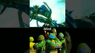 Optimus Prime vs Ninja Turtles #Confrontation #Movies #Turtle Ninja #OptimusPrime #Rivers #Shorts