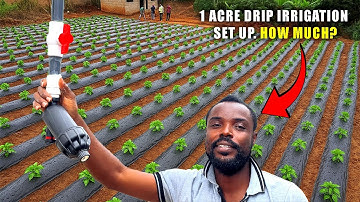 How Much Does 1 Acre Drip Irrigation Really Cost?
