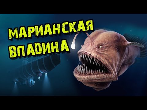 Марианская впадина / Марианский желоб / Интересные факты