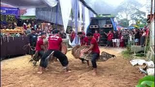 Gedruk Pindo Original ACR LION BOYS Terbaru Live Sumbul Singosari