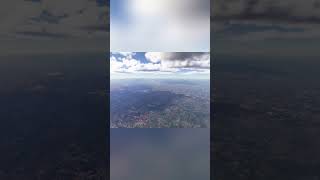 Shocking Airplane Crash REVEALED! Bird