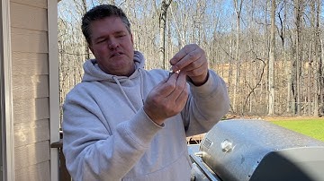 How To Hang Bird Feeders Between Two Trees - BirdInformer.com