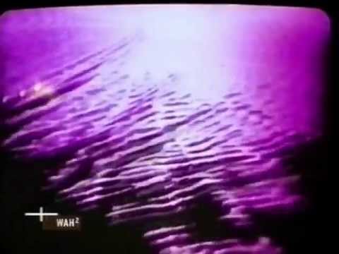 a certain frank — A Certain Frank - Nothing
