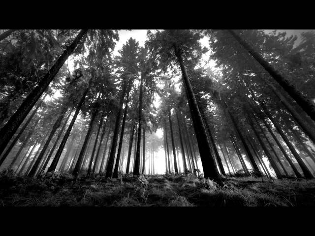 Fen - Walking The Crowpath
