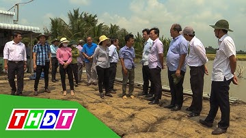 Lãnh đạo tỉnh Đồng Tháp thăm mô hình nông nghiệp tiêu biểu | THDT