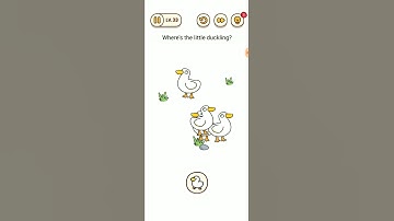 Brain find Level 33 walkthrough