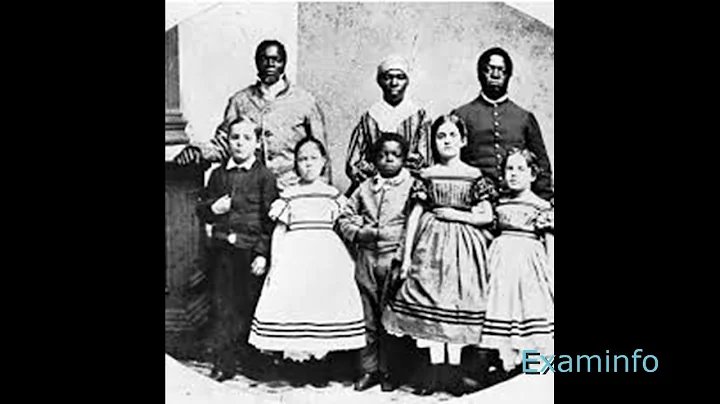 The Mulatto in the United States:(1919) Edward Byr...