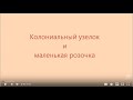 Вышивка лентами для начинающих. Колониальный узелок и маленькая розочка.