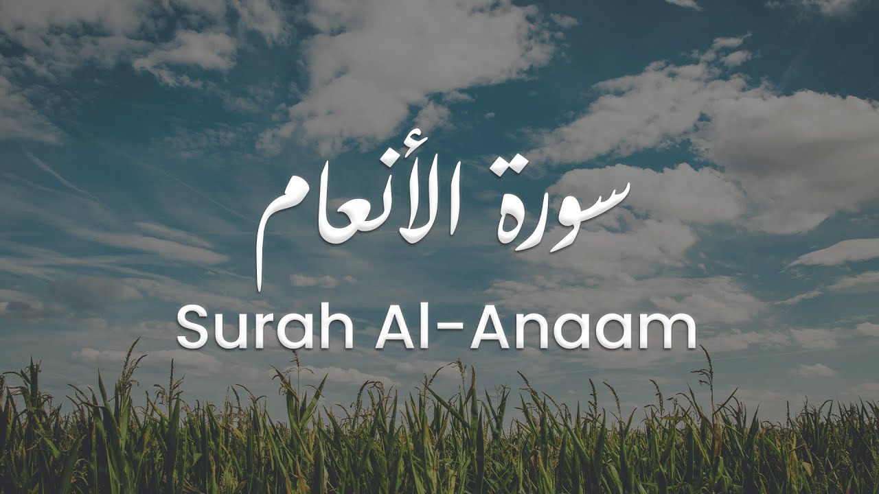 سورة الأنعام للشيخ علي البراق | المصحف المرتل