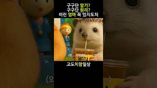 구구단 암기 원리 이런 엄마 꼭 있지도치 🦔 #실수로 삭제 후 재업로드 #육아 #일상 #동물 #도치맘 #엄마일상 #햄찌 #다람쥐 #고슴도치 #무례한 #구구단
